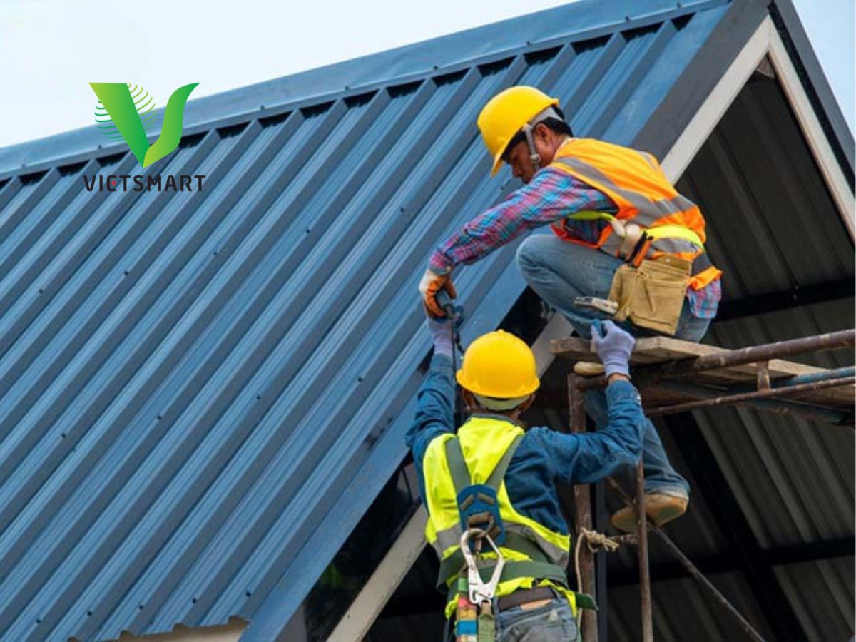 su-dung-vit-ban-ton-chong-bao-tai-cac-vung-ven-bien