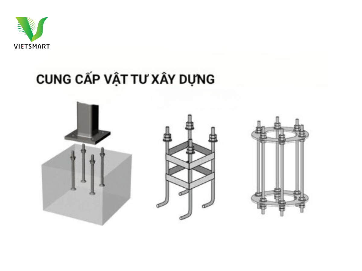 cac-loai-hinh-dang-pho-bien-cua-bu-long-mong